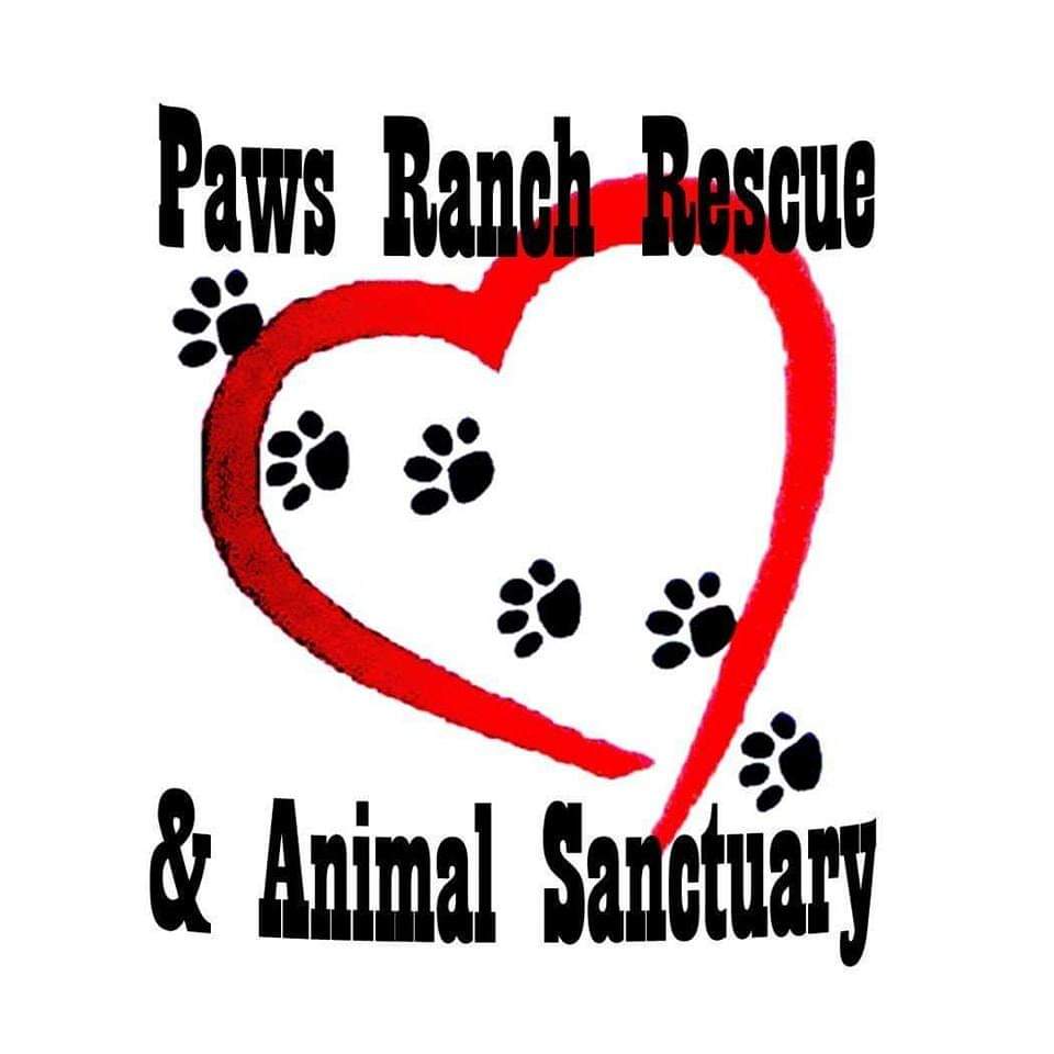 Paws Ranch Rescue & Animal Sanctuary, San Antonio, Texas